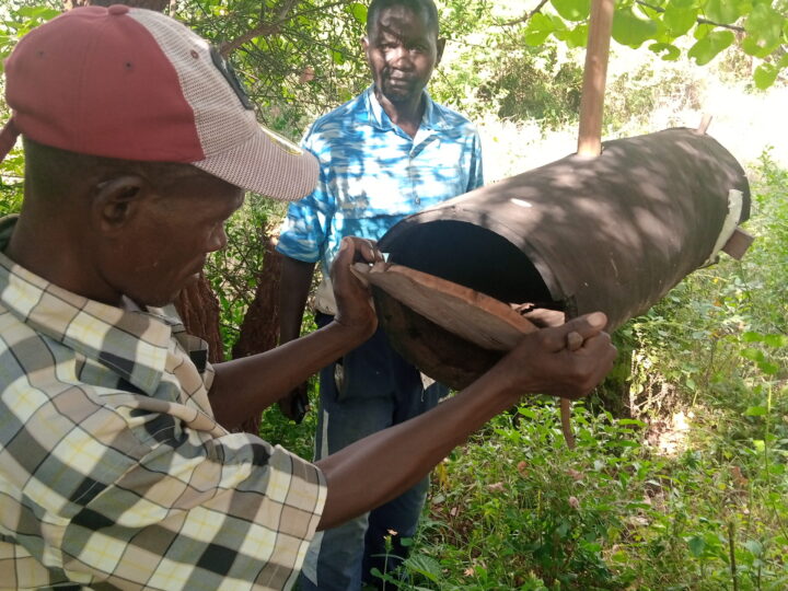 How Tharaka bee hive makers are using technology to market traditional hives