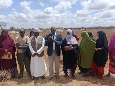 Camel bulls donated to increase milk production  and boost food security in Marsabit County